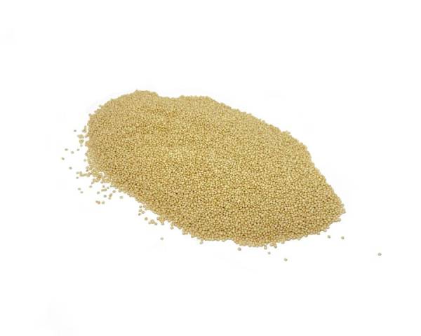 Organic Amaranth Grain image