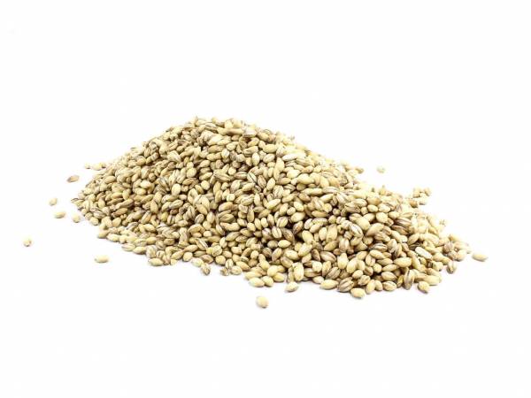 Australian Organic Pearled Barley image