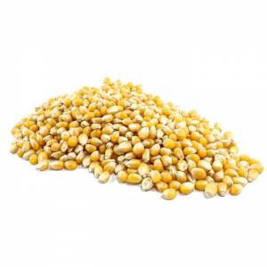 Australian Organic Popping Corn image