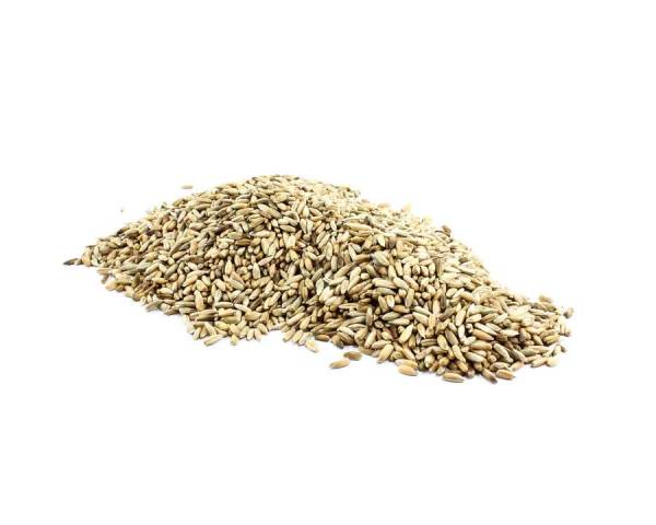 Australian Organic Rye Grain image