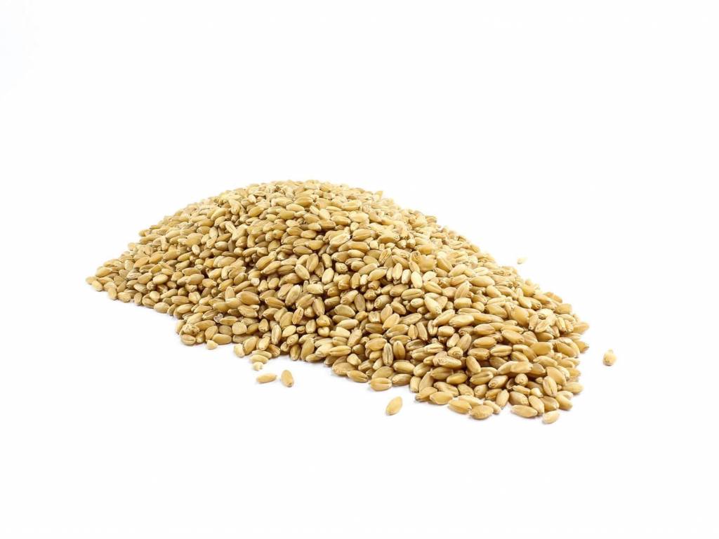 Australian Organic Wheat Grain The Source Bulk Foods Shop