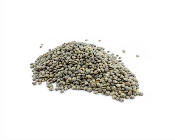 Organic French Green Lentils image