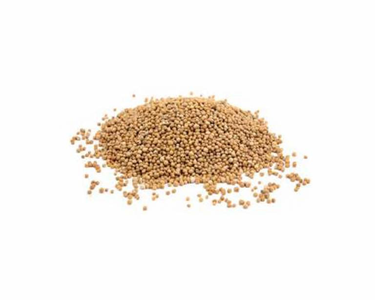 Yellow Mustard Seeds The Source Bulk Foods Shop