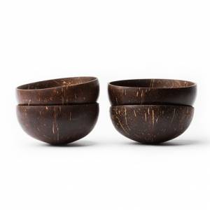 Coconut Bowl Set of 4 image