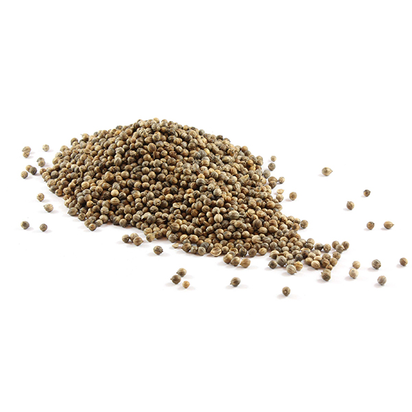 Coriander Seed image