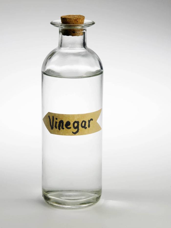 White Vinegar The Source Bulk Foods Shop