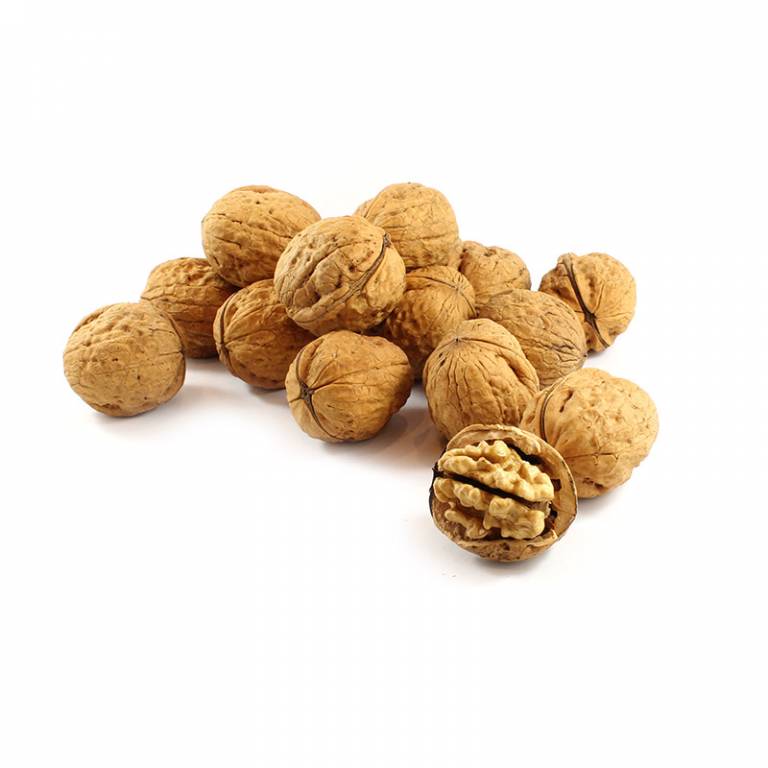 Australian Walnuts in Shell The Source Bulk Foods Shop