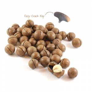 Australian Roasted Macadamias in Shell image