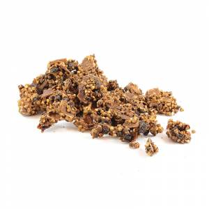 Organic Cacao Buckies image